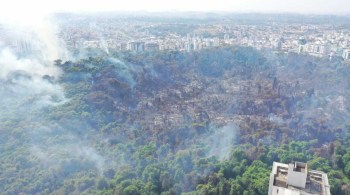No Parque Municipal Ursulina de Andrade Mello, na região da Pampulha, bombeiros utilizam seis viaturas para tentar controlar as chamas