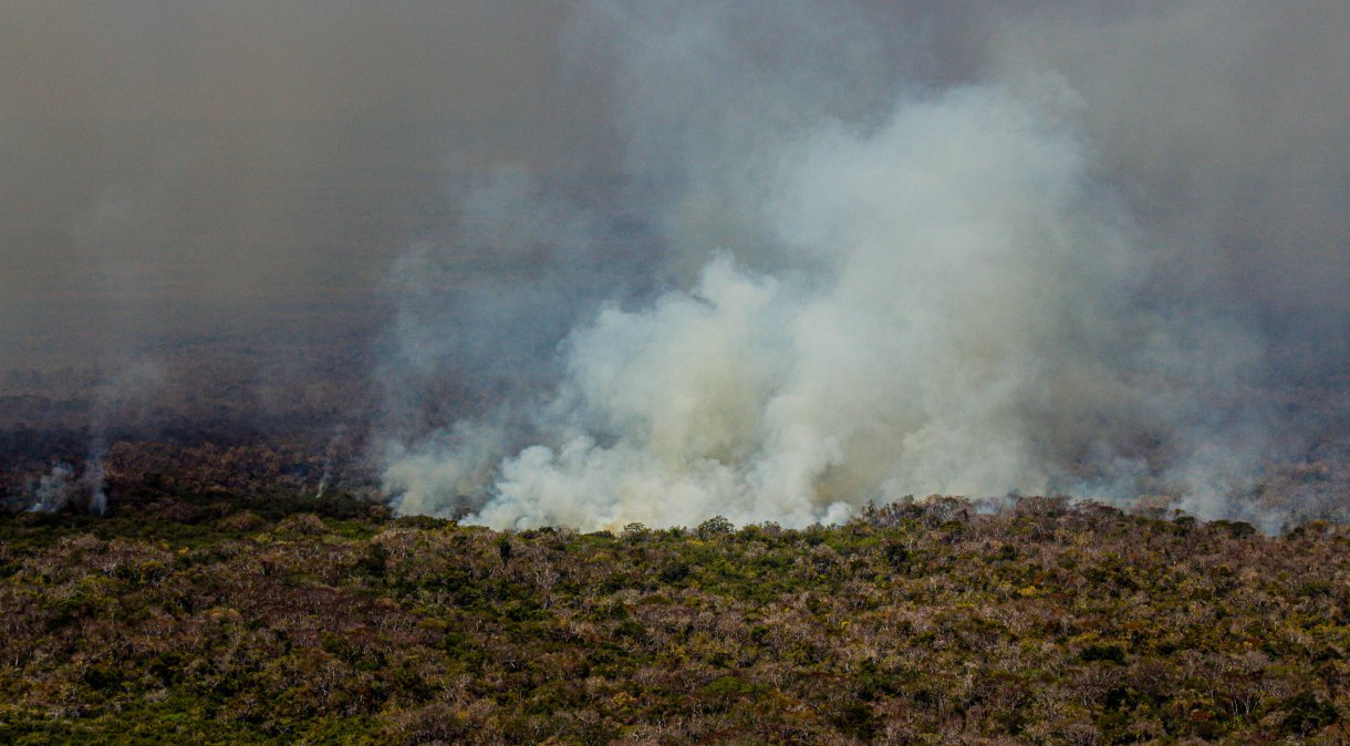 Incêndios batem recorde na região do Pantanal