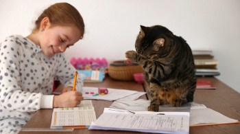 Atílio Sersun Calefi tirou dúvidas, garantiu que não há riscos para os animais domésticos e citou cuidados em meio à pandemia de coronavírus