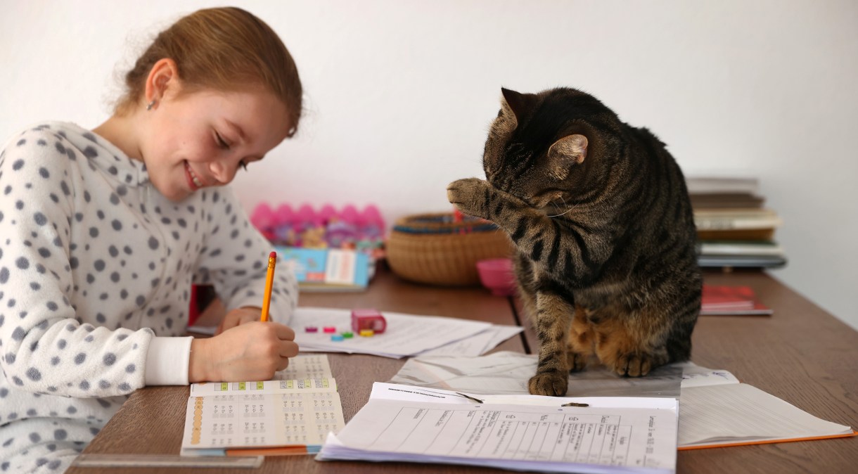 Criança estuda em casa para evitar transmissão do coronavírus acompanhada de seu gato em Jugenheim, Alemanha