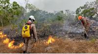 Incêndio na Chapada dos Veadeiros termina após 16 dias