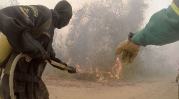 Especialistas internacionais dizem que democrata pode usar poder econômico para punir o Brasil se o governo Bolsonaro não cuidar da pauta ambiental