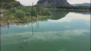 Lagoa da Tijuca, Canal de Joatinga e Quebra-Mar da Barra 