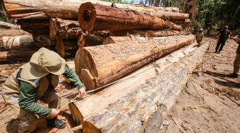 Nesta quinta (12), Bolsonaro criticou uma proposta em estudo pelo Conselho Nacional da Amazônia Legal, presidido por Mourão