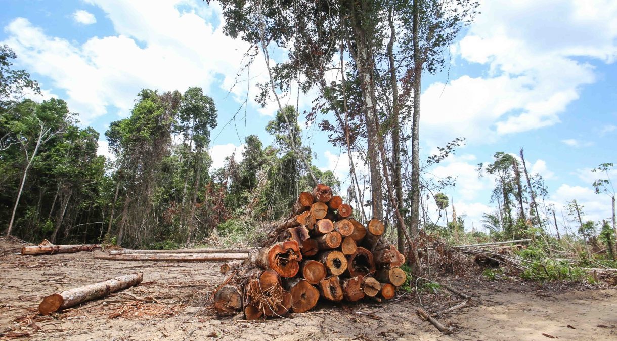 Desmatamento em áreas não protegidas não é contabilizada na captura de carbono
