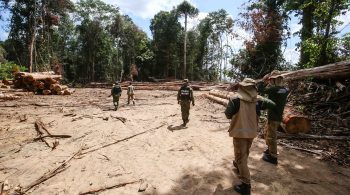 Nos dois primeiros anos de Bolsonaro, o desmatamento na Amazônia Legal, que abrange nove estados do país, aumentou em 47%