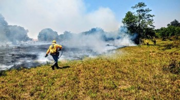Até 4 de outubro, foram registradas 243 ocorrências de incêndio florestais em uma área de 1.688 hectares. No ano passado, a área atingida foi de 3.172 hectares