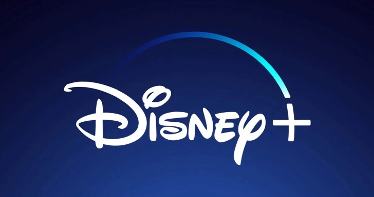 Logo do Disney+: plataforma faz um ano, mas estreia no Brasil somente em 17 de novembro