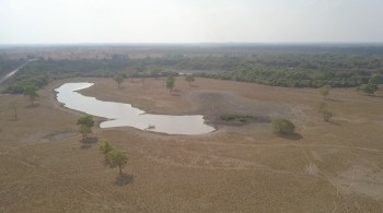 Sem os rios e o clima úmido, o Pantanal não existiria, e a preservação da natureza pode determinar o futuro do bioma