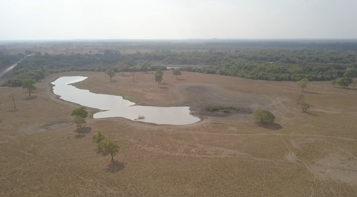 A diminuição da umidade no Pantanal causou muitas dificuldades na região este ano