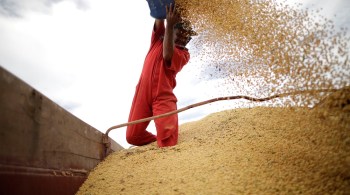 A Agricultura negocia um valor de pelo menos R$ 13 bilhões para a subvenção aos financiamentos agropecuários, mas a Economia tem resistido