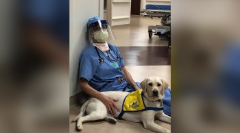 Wynn, cachorro de serviço em treinamento, dá alguns minutos de alívio a uma equipe médica de Denver