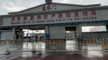 Segundo relatório, venda de animais selvagens para o mercado de alimentos em Wuhan teve papel central na propagação da doença