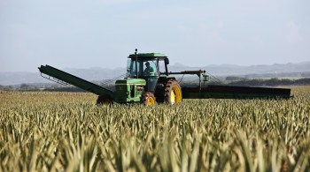 A medida atende uma lei federal que liberou tratores de emplacamento e do licenciamento, mas tornou obrigatório o registro no Ministério da Agricultura