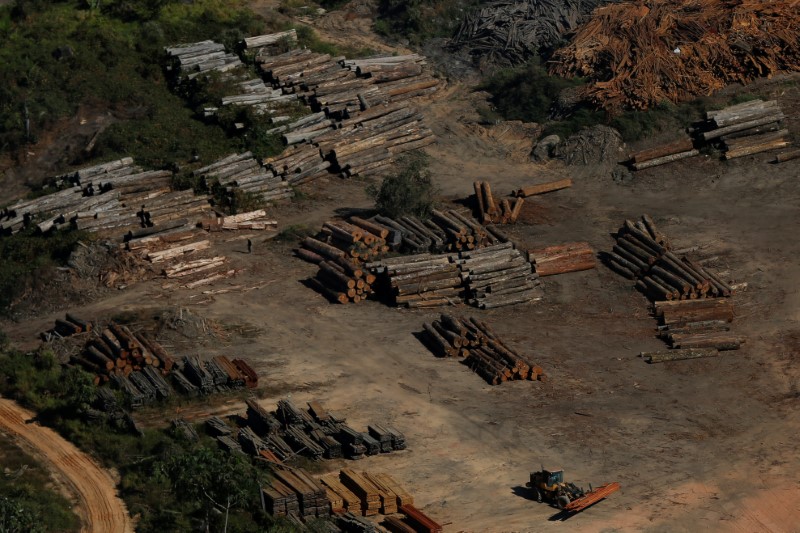 Toras de madeira vistas durante operação de combate ao desmatamento ilegal em Apuí, no Amazonas