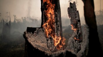 Portaria assinada pelo ministro André Mendonça autoriza emprego da Força Nacional, em conjunto com a GSI, em ações contra queimadas na Amazônia até 30 de abril