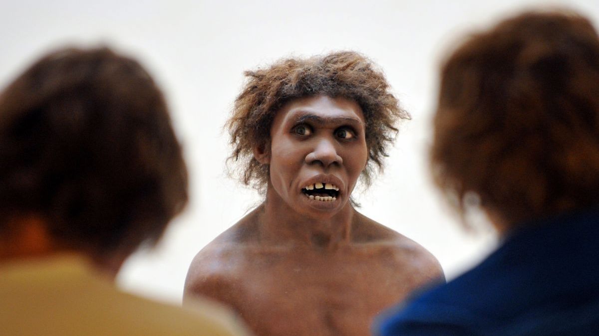 Diversas representações de como teriam sido os Neandertais foram feitas a partir das ossadas encontradas