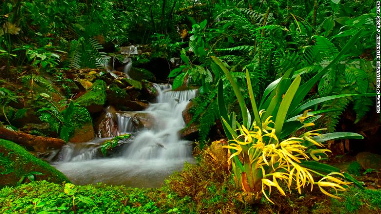 O Vale do Zongo é repleto de cachoeiras naturais e é conhecido como o "coração da região". Os habitantes locais dependem da floresta, já que Zongo fornece materiais de construção, energia hidrelétrica e água para a capital da Bolívia, La Paz