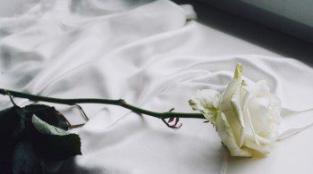 Tradicional ritual do banho de mar e pular ondas pode ser substituído por banho com pétalas de 7 rosas brancas