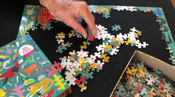 American Medical Association apontou queda de 11% na chance de desenvolvimento de demência para pessoas acima dos 70 anos que praticam atividades como palavras cruzadas e xadrez