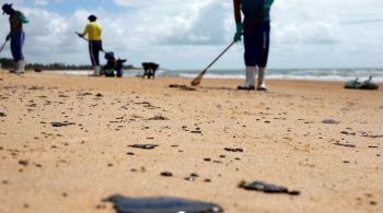 Coordenador do plano disse que os danos ao meio ambiente causados pelos resíduos que atingiram litoral em agosto de 2019 foram "mitigados"