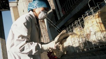 Autoridades disseram que o caso das cepas combinadas H3N2 e H10N5 aconteceu após uma transmissão entre espécies [do animal para o humano]