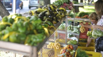 Medida estabelece regras para doação de excedentes de alimentos para o consumo humano