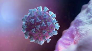Novo estudo cita quatro possíveis fontes para o vírus que causa a Covid-19, mas não oferece uma resposta conclusiva e recomenda mais análises
