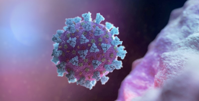 Estudo da OMS listou quatro possíveis origens para o novo coronavírus, descoberto em 2019 na cidade de Wuhan