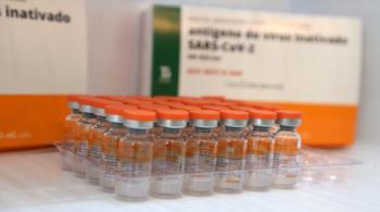 Instituto Butantan já repassou 27,8 milhões de doses de vacinas ao Programa Nacional de Imunização; acordo prevê 46 milhões de doses até o final de abril