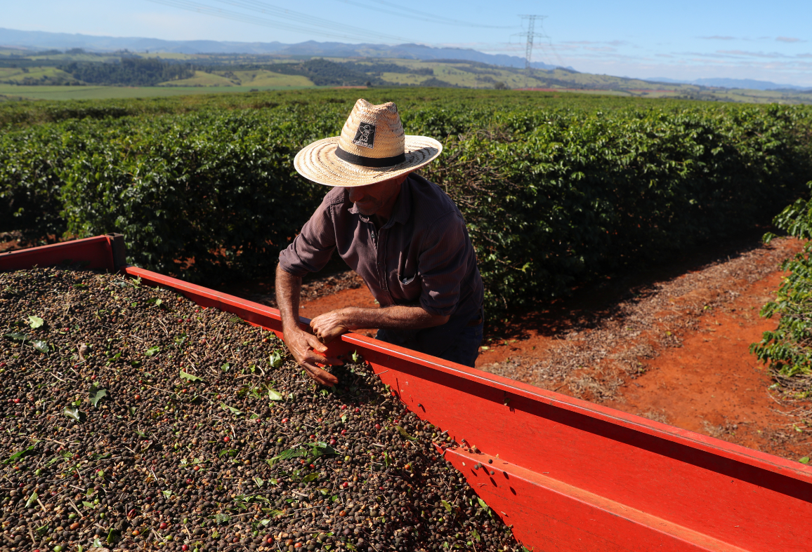 Produção Agrícola Em 2020 Chega A R 4705 Bilhões E Bate Recorde Cnn Brasil 1725