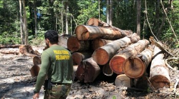 Policiais investigam crimes cometidos em área de 5 mil hectares em Roraima e no Amazonas; Justiça determinou o bloqueio de R$ 80 milhões em bens