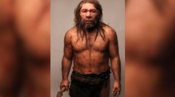 Há cerca de 40 mil anos, exemplares do Homo sapiens e os Homo neanderthalensis se encontravam e às vezes faziam sexo e tinham filhos