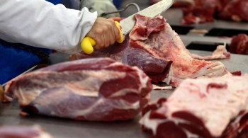 Segundo a companhia, estratégia evitará que sua participação de mercado seja afetada, já que as unidades brasileiras que antes embarcavam a carne aos chineses agora estão suspensas