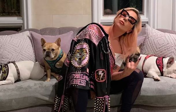 Foto de Lady Gaga com seus cães postada nas redes sociais da cantora