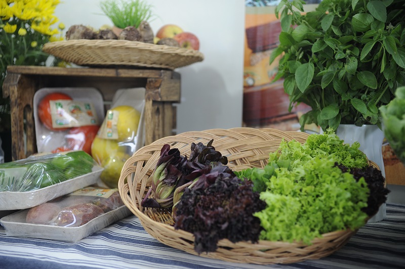 Estudo afirma que consumo de frutas e verduras reduz risco de mortes por problemas de saúde