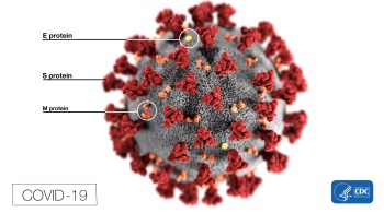 Inteligência do país trabalha com teoria de que infecção acidental de cientista tenha chegado às ruas. Por outro lado, fontes consideram conclusões precipitadas