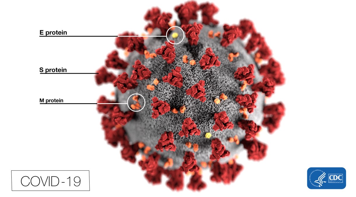 Reprodução da aparência do novo coronavírus, causador da COVID-19, em apresentação do Centro de Controle e Prevenção de Doenças dos Estados Unidos