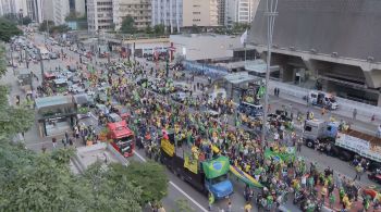 Brasília, São Paulo, Rio de Janeiro e Belo Horizonte registraram protestos pela volta ao trabalho neste domingo (19)