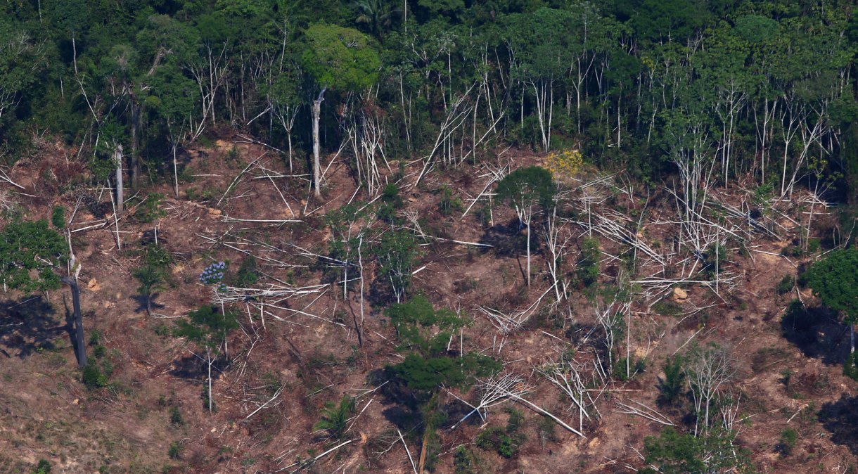 Área desmatada na Floresta Nacional do Jamanxim, no Pará