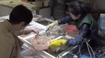 Na quarta-feira, bancas vendiam legumes frescos e carnes, mas nenhum animal selvagem estava à venda