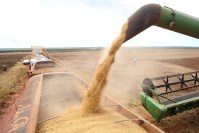 Brasil está entre os 5 maiores exportadores em cerca de 30 produtos agrícolas