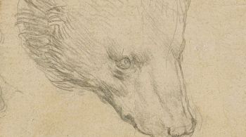 A estimativa é que o desenho "Head of a Bear" seja vendido por US$ 16,7 milhões