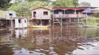 Amazonas cria grupo para combater surto de doença da urina preta