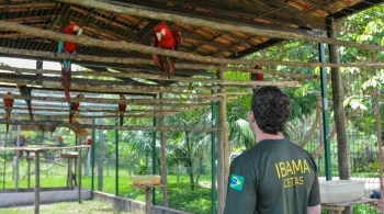 Com a chegada do período da seca na floresta amazônica, a pasta planeja investir R$ 70 milhões em abertura de concurso para fiscais e analistas