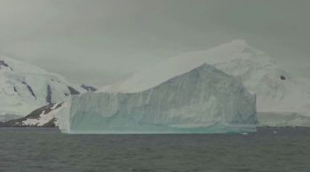 Francyne Elias-Piera, doutora em Ciência Ambiental, detalha como ocorreu o deslocamento de uma enorme massa de gelo da Antártica que está à deriva no oceano