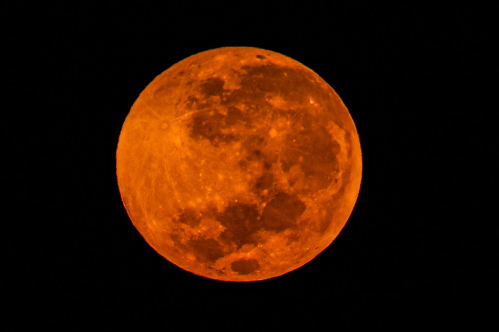 Superlua de sangue é vista em São Paulo 