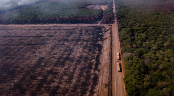 Número é o pior para o mês desde 2016 – e só foram validados os dados de 28 dias; também representa aumento de 41% em relação a todo o mês de maio de 2020 