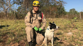 Equipe de cães do Corpo de Bombeiros Militar do Estado de Goiás integra as operações que já estão no 12º dia