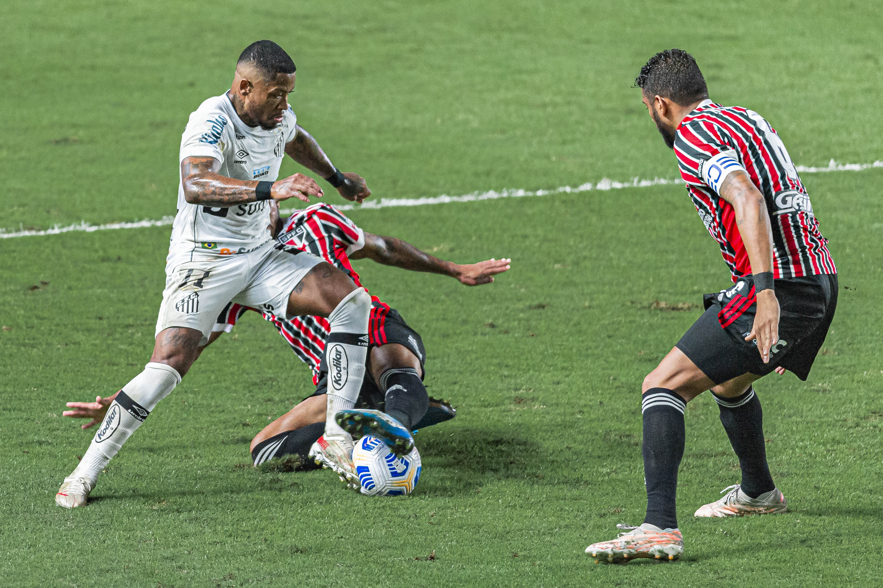 Marinho durante jogo entre Palmeiras e Santos e São Paulo, partida valida pela q